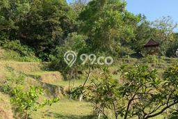 Tanah Premium di Karangasem, Luas 10000m2m², Ideal untuk Usaha, For Rent Tanah Premium di Karangasem, Luas 10000m2m², Ideal untuk Usaha, For Rent