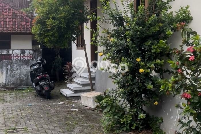 Disewakan Rumah Murah di Dalung Badung Punya 3 Kamar Tidur Disewakan Rumah Murah di Dalung Badung Punya 3 Kamar Tidur