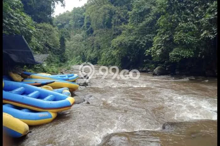 Jual Tanah di Payangan, Luas 63000m², Kawasan Asri Jual Tanah di Payangan, Luas 63000m², Kawasan Asri