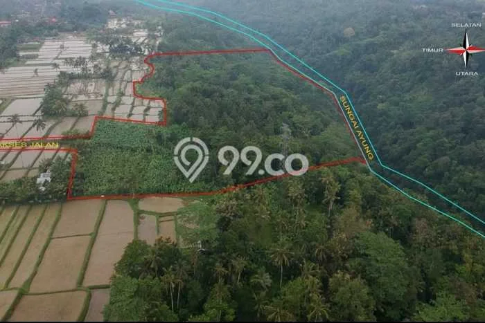 Jual Tanah di Payangan, Luas 63000m², Kawasan Asri Jual Tanah di Payangan, Luas 63000m², Kawasan Asri