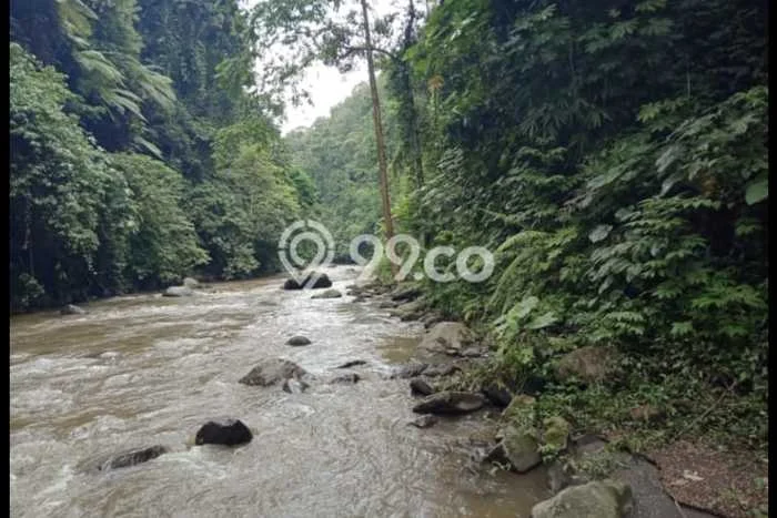 Jual Tanah di Payangan, Luas 63000m², Kawasan Asri Jual Tanah di Payangan, Luas 63000m², Kawasan Asri