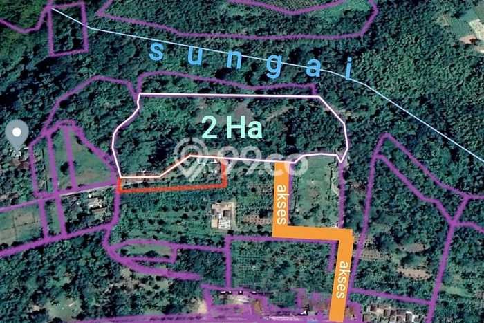 Tanah di Payangan, Luas 24300m², Status Hak Milik, Akses Payangan, Gianyar, Gianyar Tanah di Payangan, Luas 24300m², Status Hak Milik, Akses Payangan, Gianyar, Gianyar