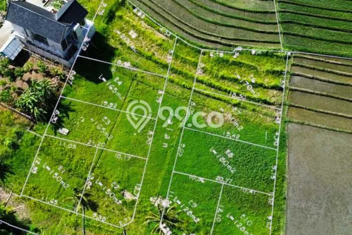Tanah di Tabanan, Tabanan Luas 100m2 Dijual Segera Tanah di Tabanan, Tabanan Luas 100m2 Dijual Segera