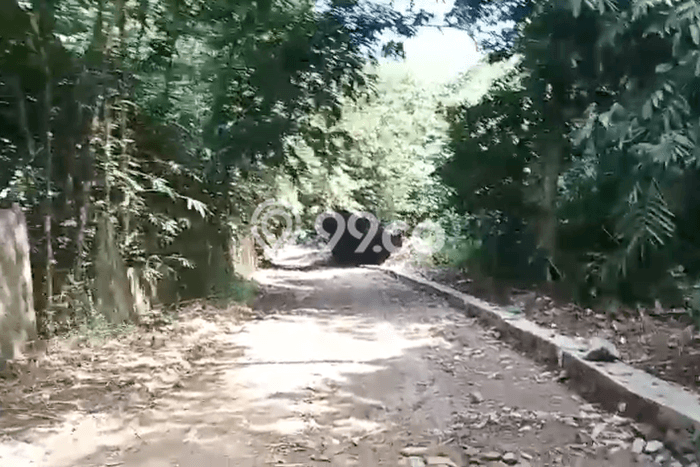Tanah untuk Dijual Lokasi Ciseeng, Bogor Luas 15934m2 SHM Tanah untuk Dijual Lokasi Ciseeng, Bogor Luas 15934m2 SHM