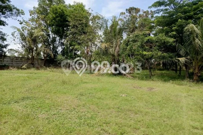 Jual Tanah di Natar, Luas 11280m², Dekat Pusat Kota Jual Tanah di Natar, Luas 11280m², Dekat Pusat Kota