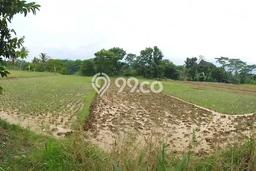 Tanah Kavling Dijual di Sukabumi dengan Spesifikasi 2885m2 Tanah Kavling Dijual di Sukabumi dengan Spesifikasi 2885m2