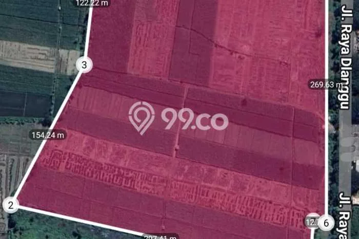 Tanah di Dlanggu, Mojokerto Luas 120000m2 Dijual Segera Tanah di Dlanggu, Mojokerto Luas 120000m2 Dijual Segera