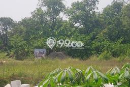 Tanah Kavling di Gresik Dijual dengan Luas 2675m2 Tanah Kavling di Gresik Dijual dengan Luas 2675m2