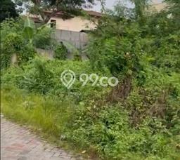 Kavling Tanah di Sambikerep Dijual Luas 283m2 Legalitas SHM Kavling Tanah di Sambikerep Dijual Luas 283m2 Legalitas SHM