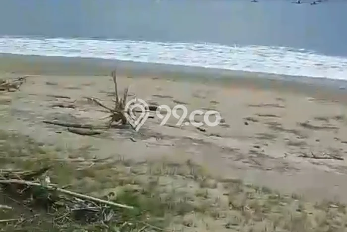 Tanah di Labangka, Sumbawa Luas 240000m2 Dijual Segera Tanah di Labangka, Sumbawa Luas 240000m2 Dijual Segera