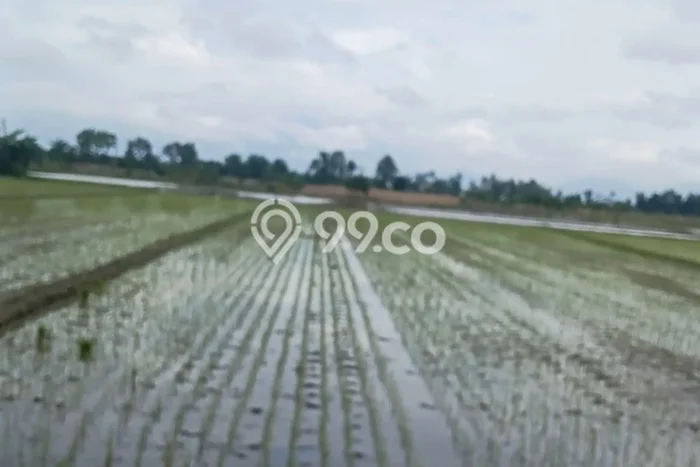 Lahan Strategis di Gerung Dijual dengan Luas 3200m2 Lahan Strategis di Gerung Dijual dengan Luas 3200m2