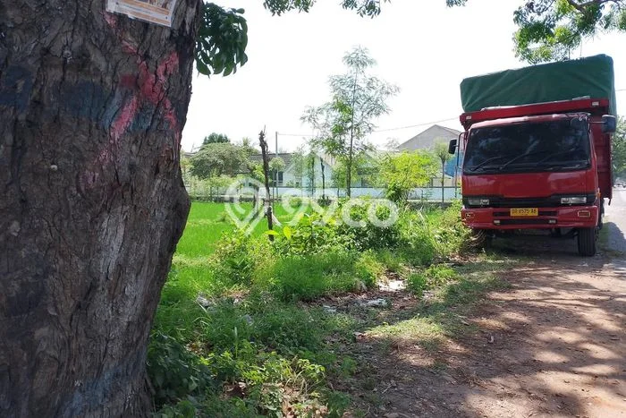 Kavling Tanah di Kediri Dijual Luas 6500m2 Legalitas SHM Kavling Tanah di Kediri Dijual Luas 6500m2 Legalitas SHM