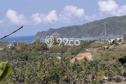 Kavling Tanah Dijual di Pujut Lombok Tengah Spesifikasi 13600m2 Kavling Tanah Dijual di Pujut Lombok Tengah Spesifikasi 13600m2