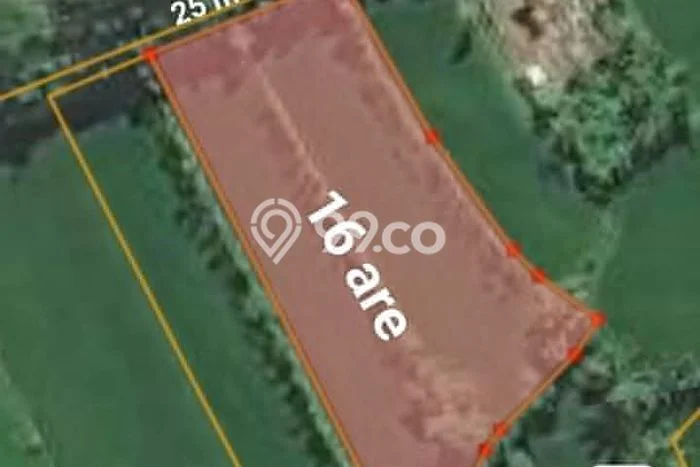Kavling Tanah di Gerung Dijual Luas 1600m2 Legalitas SHM Kavling Tanah di Gerung Dijual Luas 1600m2 Legalitas SHM