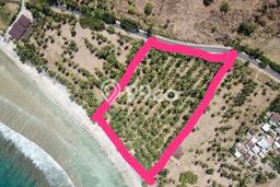 Tanah Investasi Dijual di Lombok Utara Punya Luas 20000m2 Tanah Investasi Dijual di Lombok Utara Punya Luas 20000m2