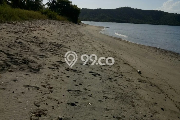 Tanah di Sekotong, Lombok Barat Luas 16000m2 Dijual Segera Tanah di Sekotong, Lombok Barat Luas 16000m2 Dijual Segera