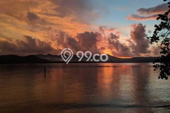 Tanah Kavling untuk Dijual di Sekotong Lombok Barat 3000m2 Tanah Kavling untuk Dijual di Sekotong Lombok Barat 3000m2