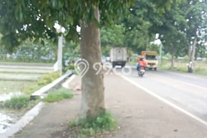 Lahan Strategis di Gerung Dijual dengan Luas 3200m2 Lahan Strategis di Gerung Dijual dengan Luas 3200m2