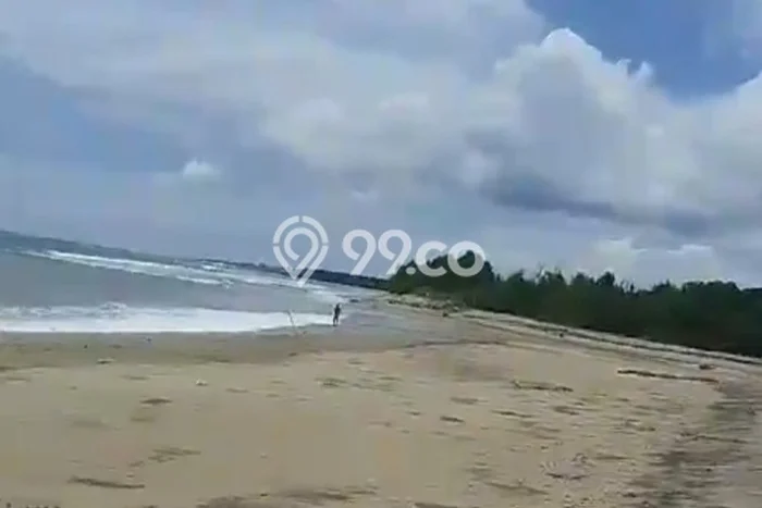Tanah di Labangka, Sumbawa Luas 240000m2 Dijual Segera Tanah di Labangka, Sumbawa Luas 240000m2 Dijual Segera