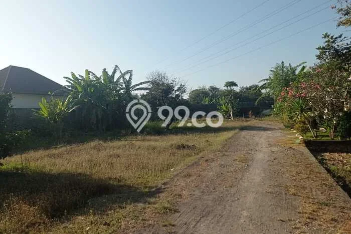 Tanah Dijual Lokasi Kediri Lombok Barat SHM Tanah Dijual Lokasi Kediri Lombok Barat SHM