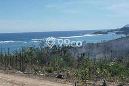 Dijual Tanah di Pujut Lombok Tengah Luas 3100m2 SHM Dijual Tanah di Pujut Lombok Tengah Luas 3100m2 SHM