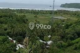 Tanah Dijual Lokasi Praya Barat Lombok Tengah SHM Tanah Dijual Lokasi Praya Barat Lombok Tengah SHM