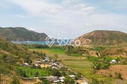 Lahan Investasi Lokasi Pujut Lombok Tengah SHM Lahan Investasi Lokasi Pujut Lombok Tengah SHM