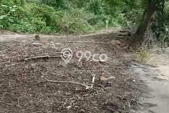 Tanah Dijual Lokasi Sekotong Lombok Barat SHM Tanah Dijual Lokasi Sekotong Lombok Barat SHM