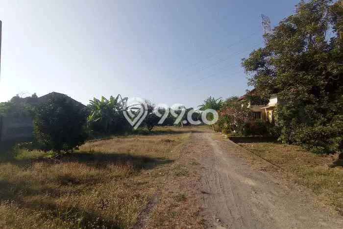 Tanah Dijual Lokasi Kediri Lombok Barat SHM Tanah Dijual Lokasi Kediri Lombok Barat SHM