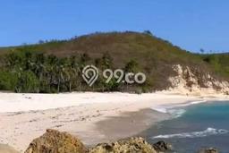 Kavling Tanah di Jerowaru Dijual Luas 40380m2 Legalitas SHM Kavling Tanah di Jerowaru Dijual Luas 40380m2 Legalitas SHM
