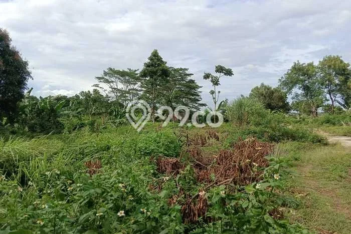 Kavling Tanah untuk Dijual di Ciangsana, Bogor, Luas 1472m2 Kavling Tanah untuk Dijual di Ciangsana, Bogor, Luas 1472m2