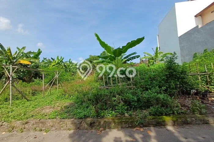 Lahan Dijual Lokasi Prambanan, Klaten dengan Luas Tanah 256m2 dan Status SHM Lahan Dijual Lokasi Prambanan, Klaten dengan Luas Tanah 256m2 dan Status SHM