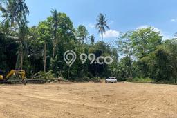 HARGA MENARIK! Tanah di Wonosari, Luas 94m2m², Area Asri, Bebas Longsor HARGA MENARIK! Tanah di Wonosari, Luas 94m2m², Area Asri, Bebas Longsor