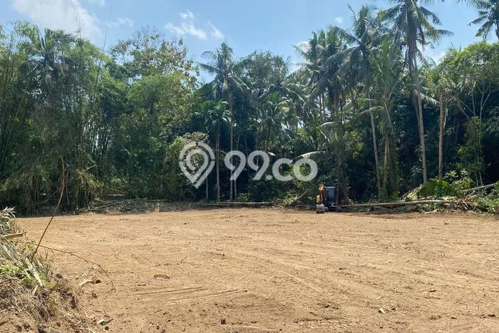 Tanah Area Berkembang Kawasan Magelang Selatan, Luas 90m2m², Akses ke Pusat Kota Tanah Area Berkembang Kawasan Magelang Selatan, Luas 90m2m², Akses ke Pusat Kota