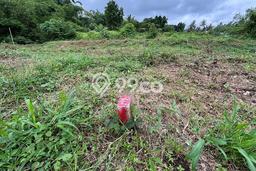 Kavling Tanah di Sleman Dijual Luas 146m2 Legalitas SHM Kavling Tanah di Sleman Dijual Luas 146m2 Legalitas SHM
