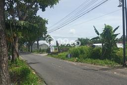 Tanah Kavling di Kalasan Dijual dengan Luas 112m2 Tanah Kavling di Kalasan Dijual dengan Luas 112m2