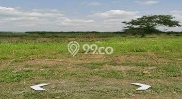 Kavling Tanah di Kertajati Dijual Luas 31000m2 Legalitas SHM Kavling Tanah di Kertajati Dijual Luas 31000m2 Legalitas SHM