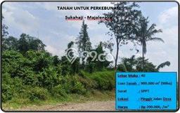 Kavling Tanah Dijual di Sukahaji Majalengka Spesifikasi 900000m2 Kavling Tanah Dijual di Sukahaji Majalengka Spesifikasi 900000m2