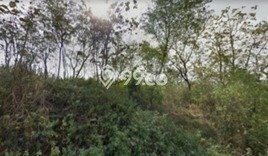Kavling Tanah di Cigasong Dijual Luas 30000m2 Legalitas - Kavling Tanah di Cigasong Dijual Luas 30000m2 Legalitas -