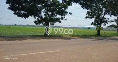 Tanah Dijual Lokasi Ligung, Majalengka Luas 180000m2 Legalitas Aman Tanah Dijual Lokasi Ligung, Majalengka Luas 180000m2 Legalitas Aman