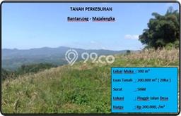 Lahan Strategis di Bantarujeg Dijual dengan Luas 200000m2 Lahan Strategis di Bantarujeg Dijual dengan Luas 200000m2