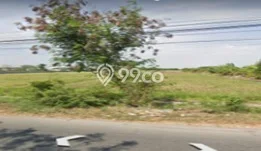 Jarang Ada! Tanah di Ligung Punya Luas 20000m2 - Jarang Ada! Tanah di Ligung Punya Luas 20000m2 -