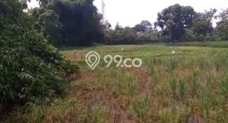 Jarang Ada! Tanah di Jatiwangi Punya Luas 10000m2 - Jarang Ada! Tanah di Jatiwangi Punya Luas 10000m2 -