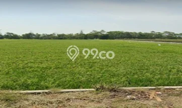 Tanah Kavling di Ligung Dijual dengan Luas 20000m2 Tanah Kavling di Ligung Dijual dengan Luas 20000m2