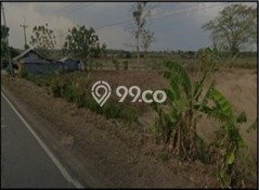 Tanah untuk Dijual Lokasi Kertajati, Majalengka Luas 3733m2 SHM Tanah untuk Dijual Lokasi Kertajati, Majalengka Luas 3733m2 SHM
