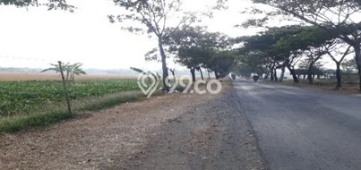Tanah untuk Dijual di Ligung Majalengka Luas 180000m2 Tanah untuk Dijual di Ligung Majalengka Luas 180000m2