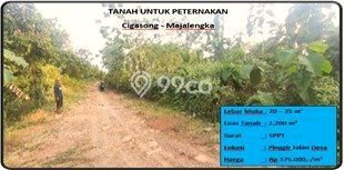 Tanah Strategis Dijual di Cigasong Majalengka 2200m2 Tanah Strategis Dijual di Cigasong Majalengka 2200m2