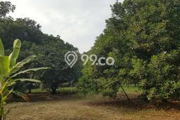 Lahan Kosong Dijual di Cikupa, Tangerang, Luas 7412m2 Area Strategis Lahan Kosong Dijual di Cikupa, Tangerang, Luas 7412m2 Area Strategis