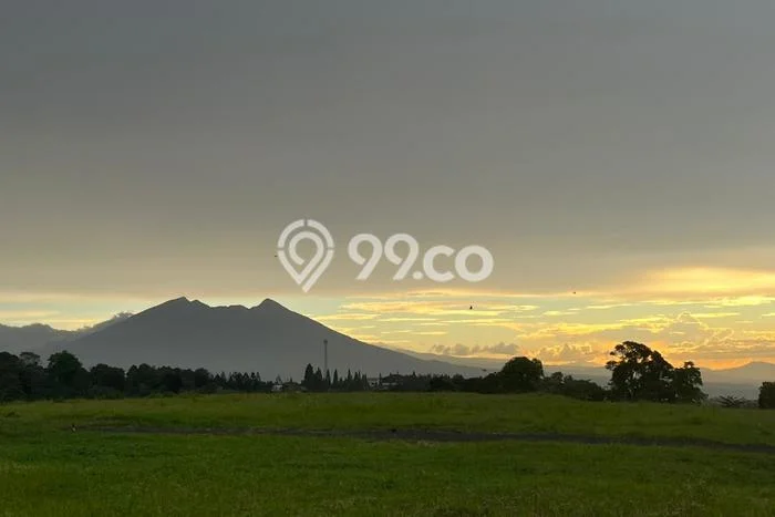 Kavling Tanah di Sukma Jaya Dijual Luas 1000m2 Legalitas SHM Kavling Tanah di Sukma Jaya Dijual Luas 1000m2 Legalitas SHM