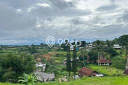 Dijual Tanah di Bogor, Luas 4500m2 SHM Dijual Tanah di Bogor, Luas 4500m2 SHM